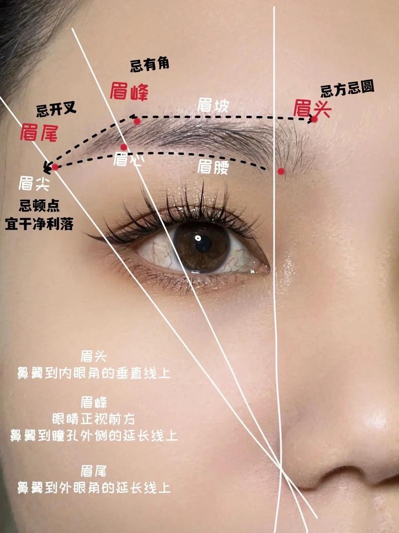 学纹眉教程化妆步骤淡妆,学纹眉基本功画眉毛