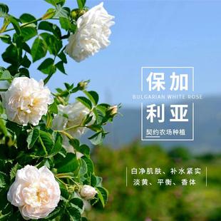 玫瑰味化妆品推荐女士使用（玫瑰味的香水哪一款比较好闻）-第3张图片-美妆