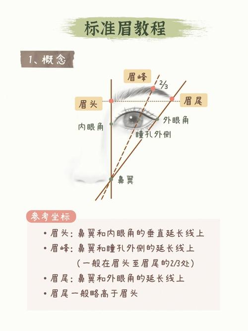 新手化妆教程眉毛（化妆眉毛课程的讲解）-第4张图片-美妆