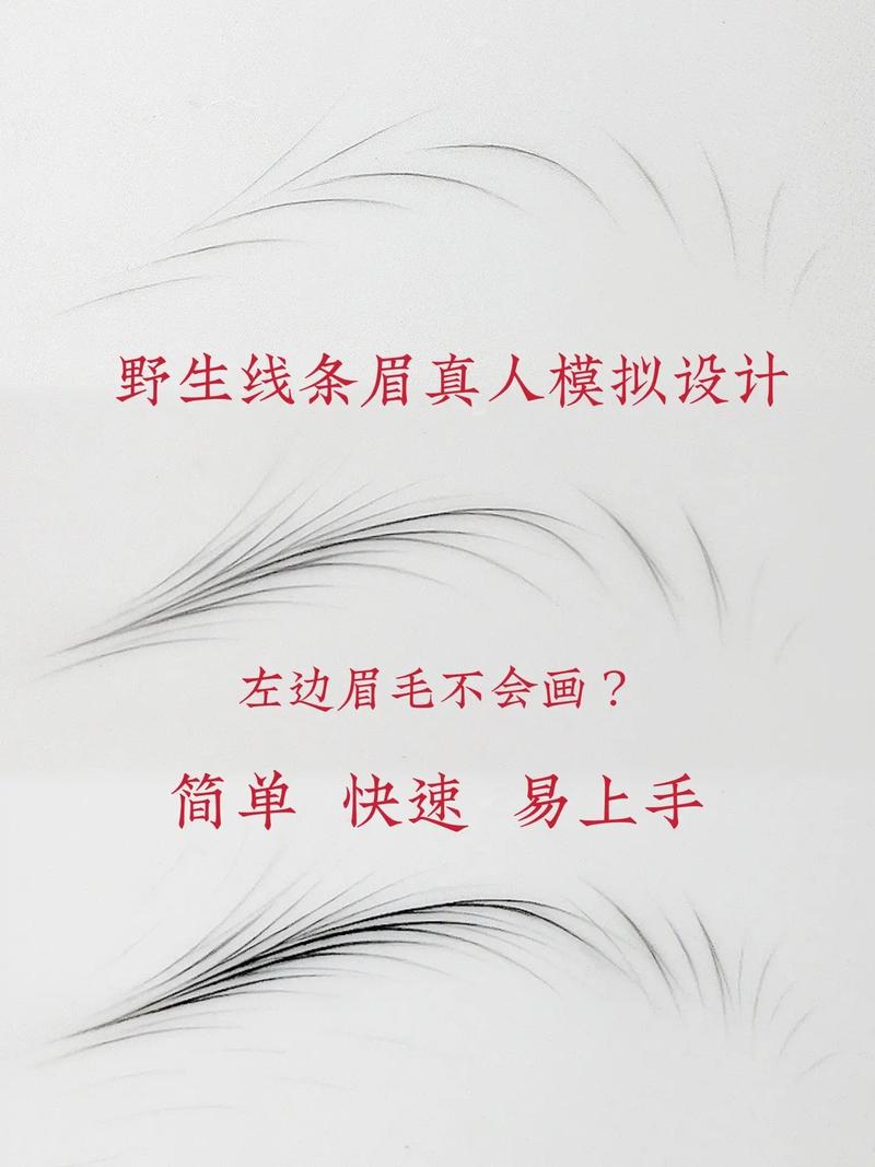 化妆步骤眉毛教程新手画,眉毛化妆教程视频-第5张图片-美妆