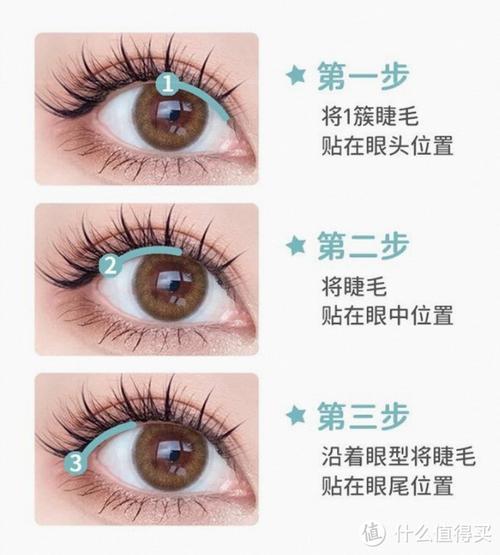眼睫毛化妆教程新手画(眼睫毛怎么化好看)-第3张图片-美妆 眼睫毛化妆教程新手画(眼睫毛怎么化好看)-第3张图片-美妆