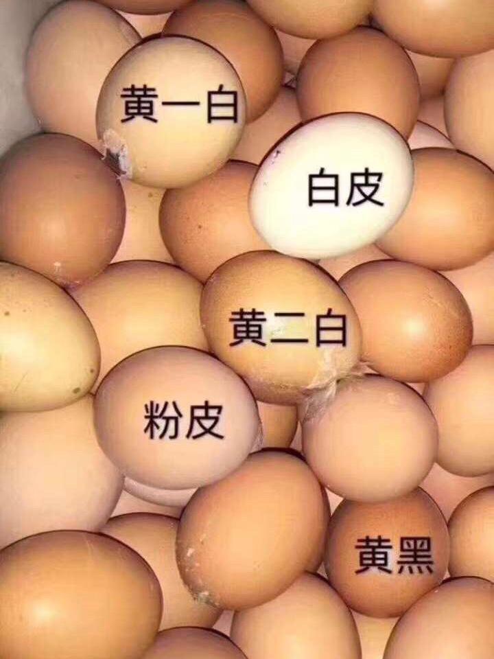 推荐化妆品黄皮还是白皮(推荐化妆品黄皮还是白皮的)-第4张图片-美妆 推荐化妆品黄皮还是白皮(推荐化妆品黄皮还是白皮的)-第4张图片-美妆